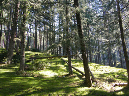 himachal anual budget, read imp announcement.