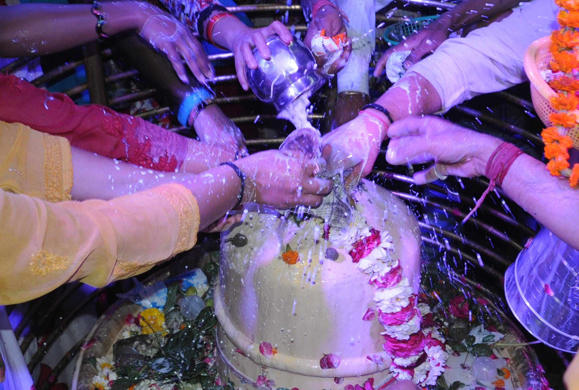 how to please lord shiva on maha shivratri 