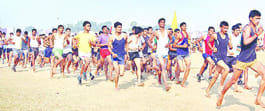 Bulndshri ran in the highest numbers 
