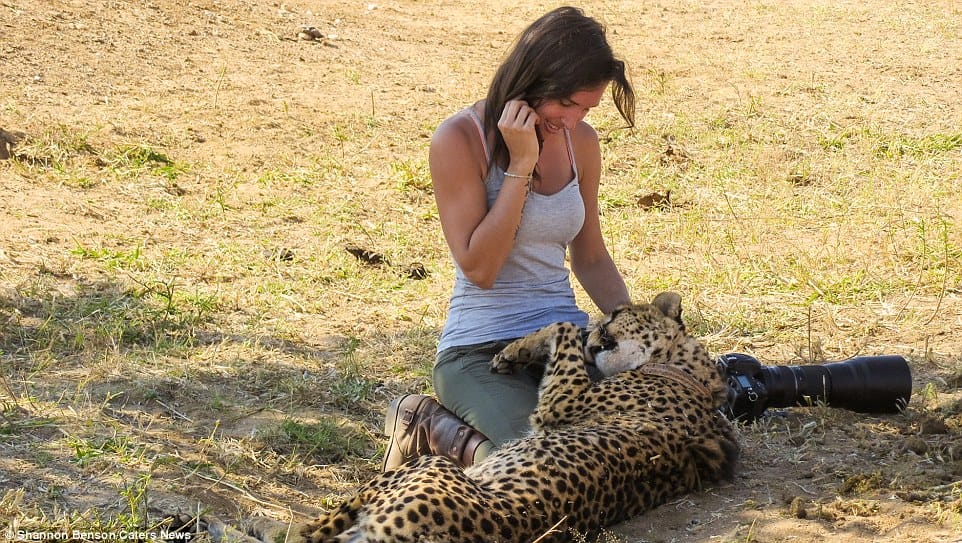 Wildlife photographer freindly with wild animals
