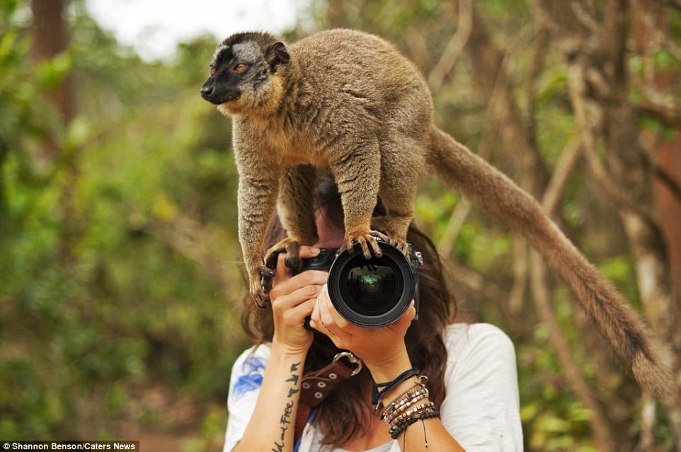 Wildlife photographer freindly with wild animals