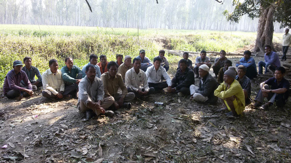 Bang-bang Tharu farmer killed by wild elephants