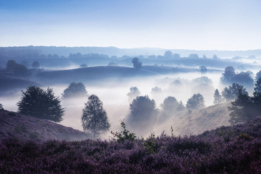 beauty of netherlands