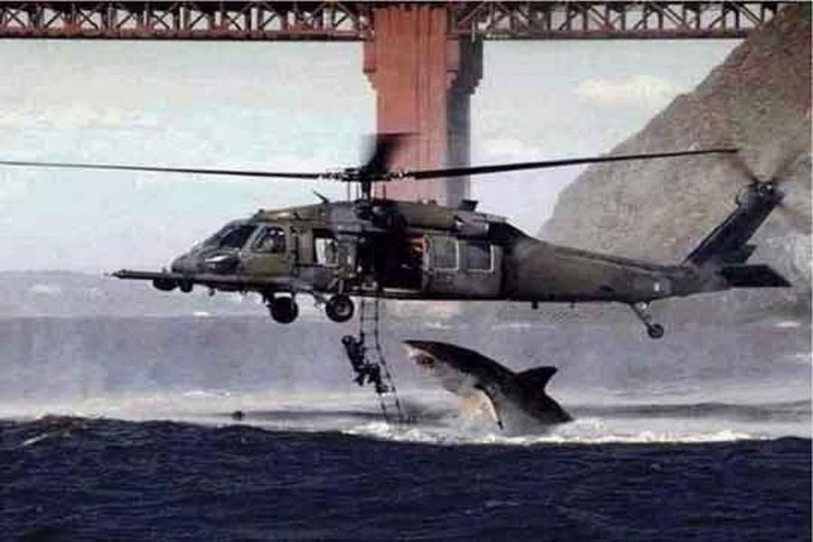 pictures that are real but seems to be fake