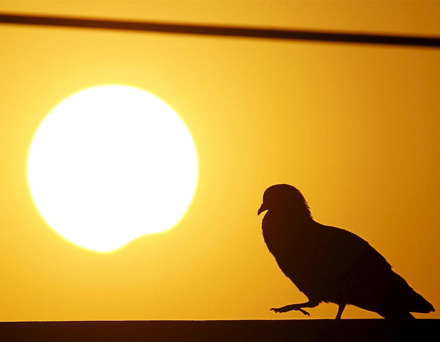 Diwali 2022 Solar Eclipse on Deepawali Know Its Effect on Lakshmi Puja Surya Grahan and Sutak Kal Timings