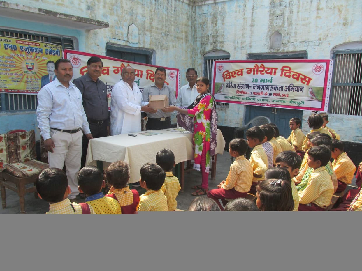 Sparrow protection given to children info