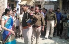 Bull killed, beaten, one arrested