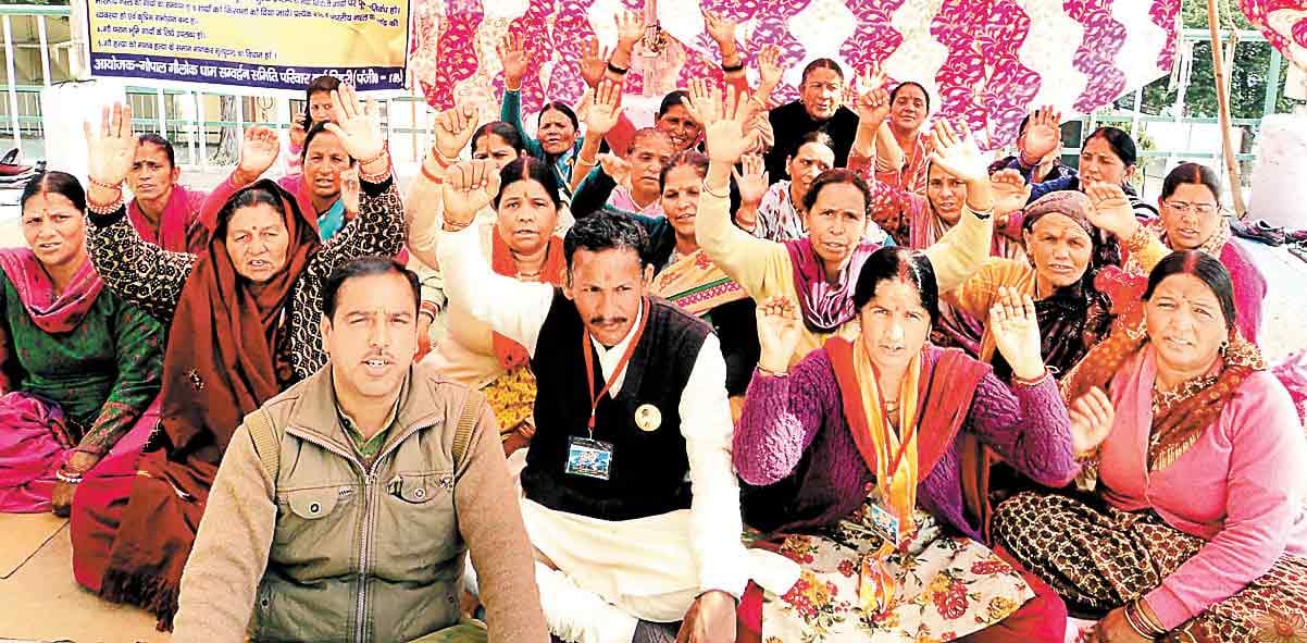 Devotees cow on relay hunger strike