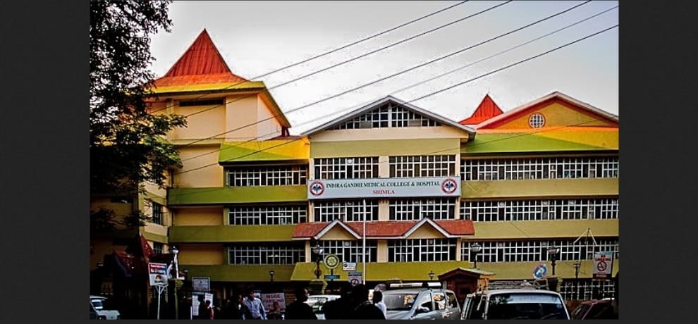  two more death due to jaundice at igmc shimla.