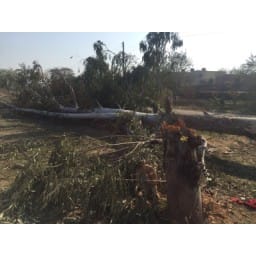 sonipat hindi news jat andolan