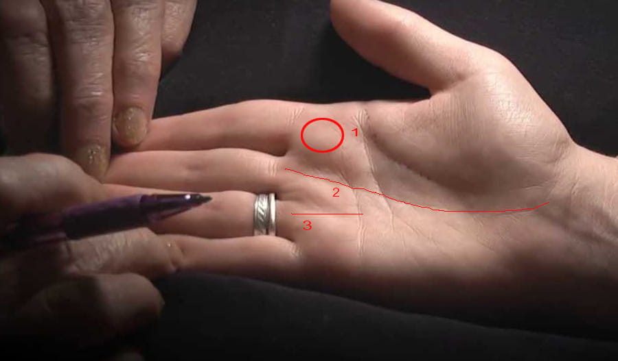 astrology palmistry career 