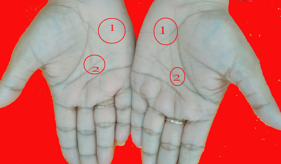 astrology palmistry career 