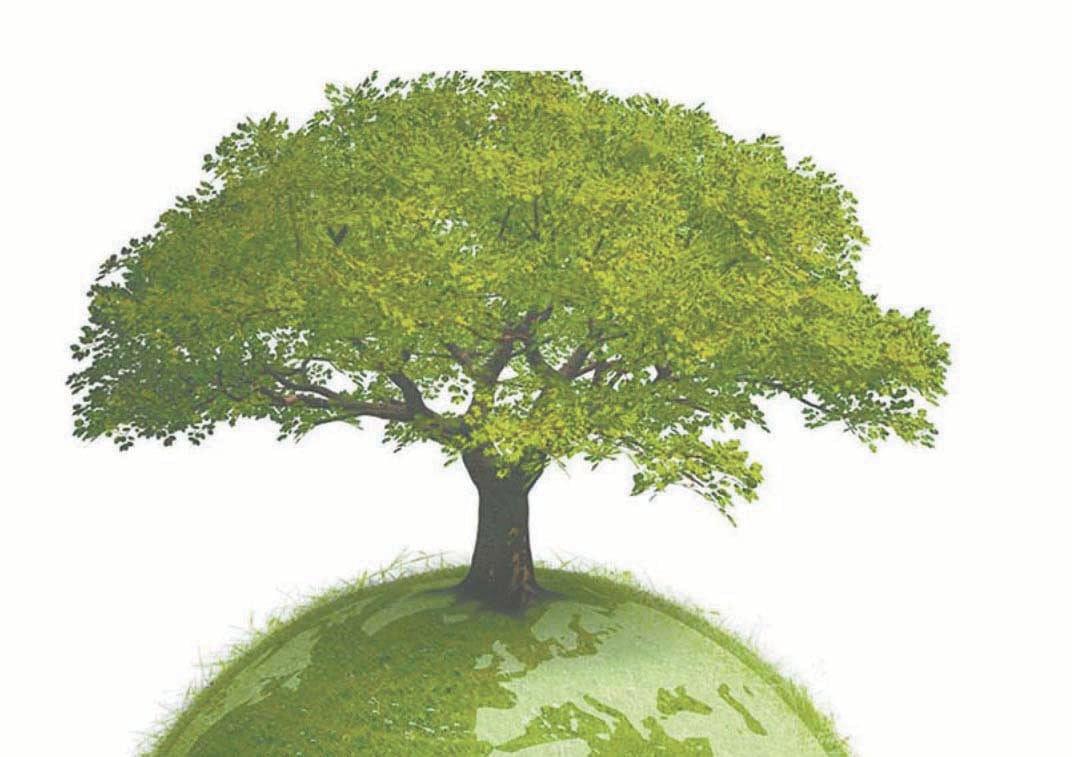 1.42 lakh plants in the district will begin today