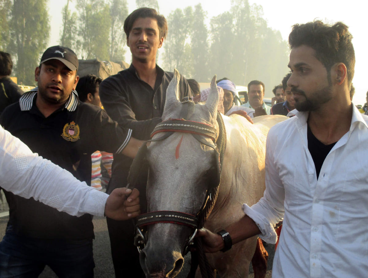 tanga race on delhi highway without any prior permission