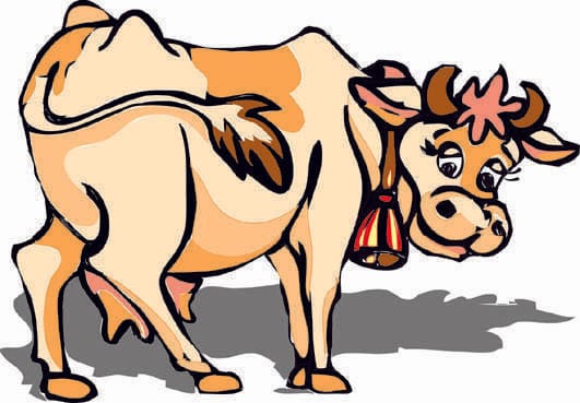 22 animals found in different regions, reported on four accused