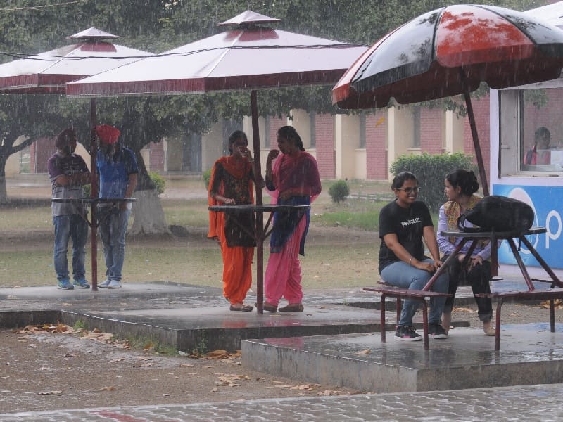 rain punjab, rain alert punjab, weather update punjab