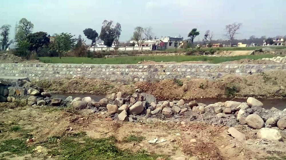 illegal planting