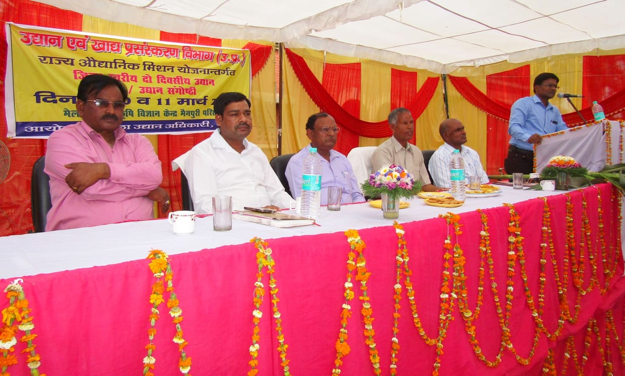 science exhibition