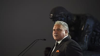 Let Media Bosses not Forget Help, Favours That I Have Provided: Mallya