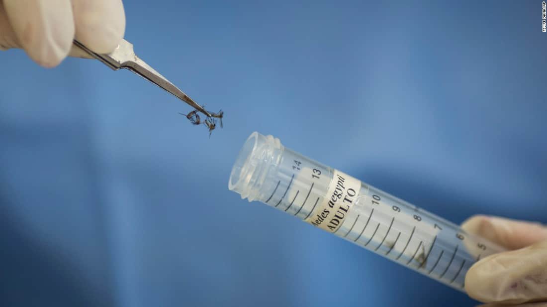 Zika virus Symptoms and Rescue