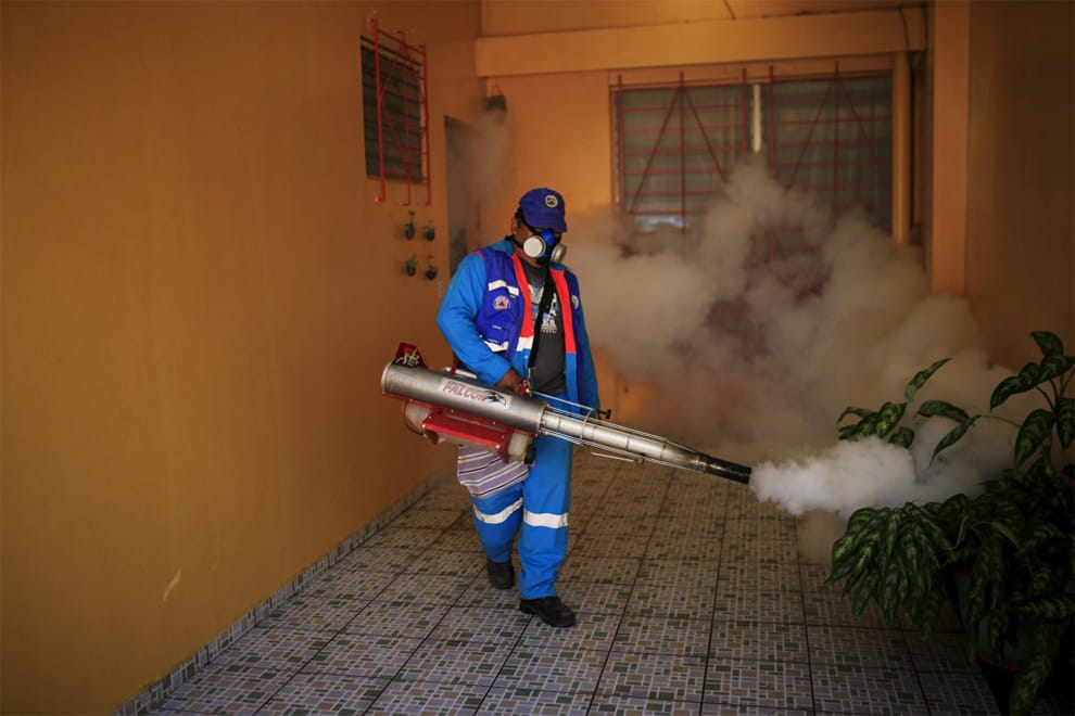 zika virus infect adult person in paris