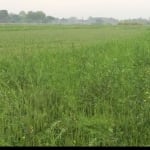 Farmers in six months have become debtors of 1200 crore