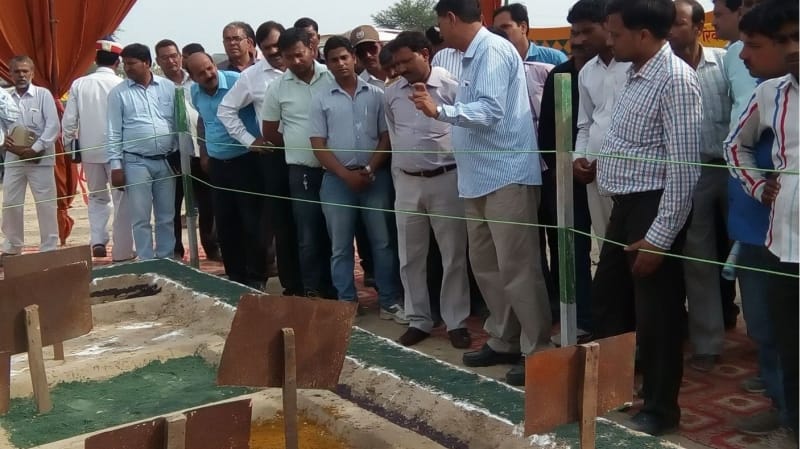 'Cow manure does not pollute the environment'