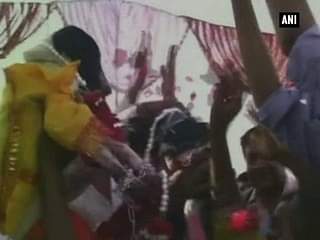 Big fat 'dog' wedding in U.P
