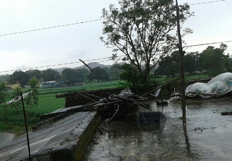 Teenager killed by falling electricity wire