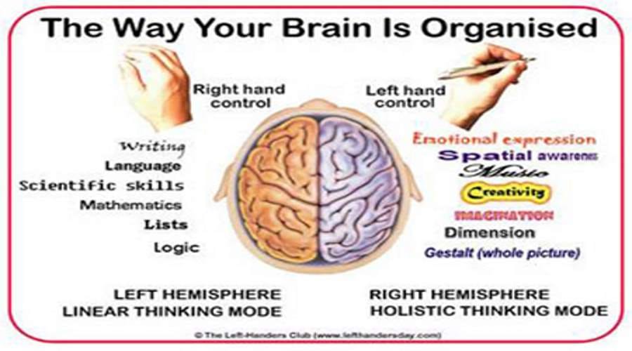 facts related to brain which you haven't heard of
