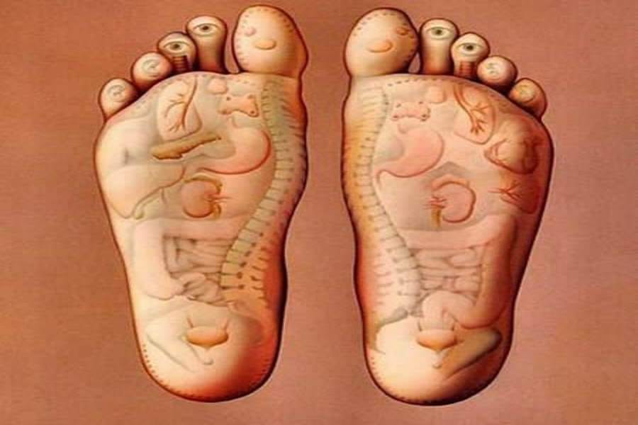interesting facts about body
