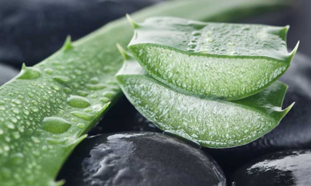 Home Remedies For Cure Mouth Ulcers