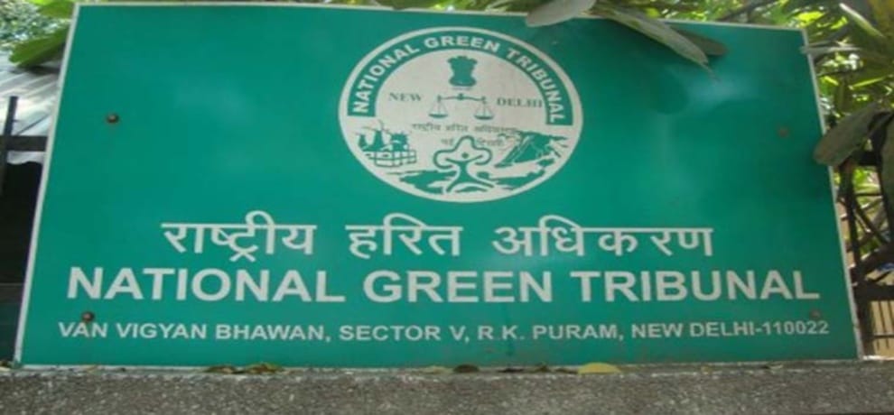 NGT: in all states until further order ban of PCB appointments