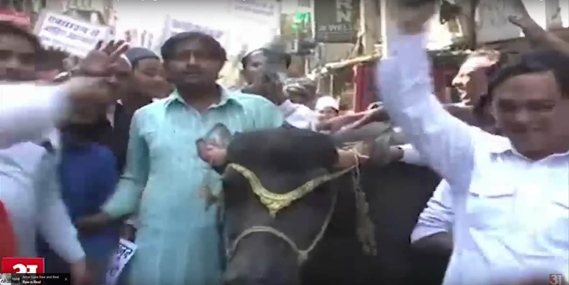 भैंस को पहनाए जेवर