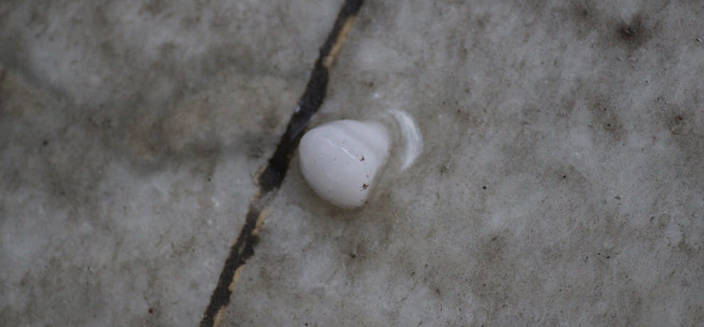 rain and hail in delhi ncr brought dowm temprature
