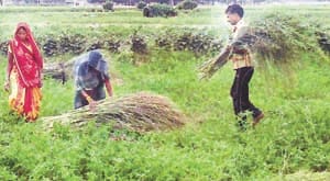ranning in kaushambi