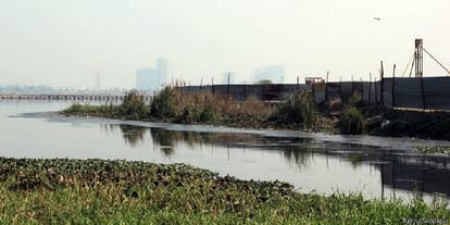 Yamuna will become more polluted after Sri Sri's World culture festival