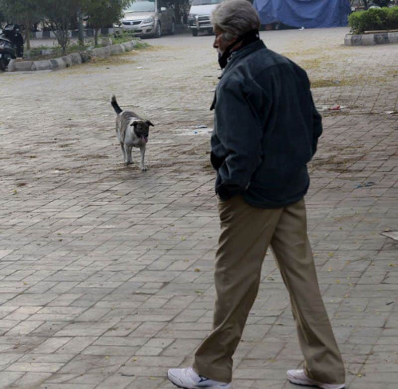Amitabh Bachchan goes unrecognised on Delhi roads