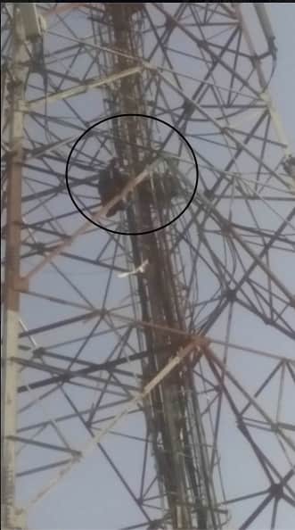 mad in love boy story, boy climbed on mobile tower, fatehabad news, kaithal news