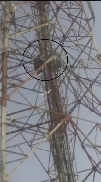 mad in love boy story, boy climbed on mobile tower, fatehabad news, kaithal news