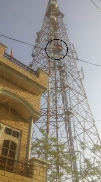 mad in love boy story, boy climbed on mobile tower, fatehabad news, kaithal news