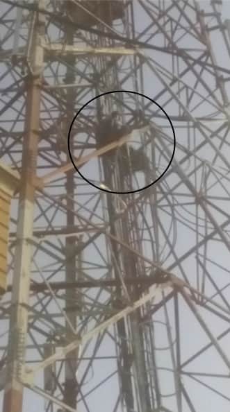 mad in love boy story, boy climbed on mobile tower, fatehabad news, kaithal news