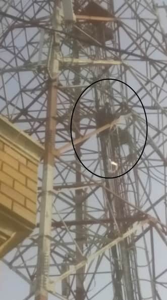 mad in love boy story, boy climbed on mobile tower, fatehabad news, kaithal news