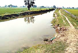 Had committed suicide by jumping into the canal in the middle minor dispute