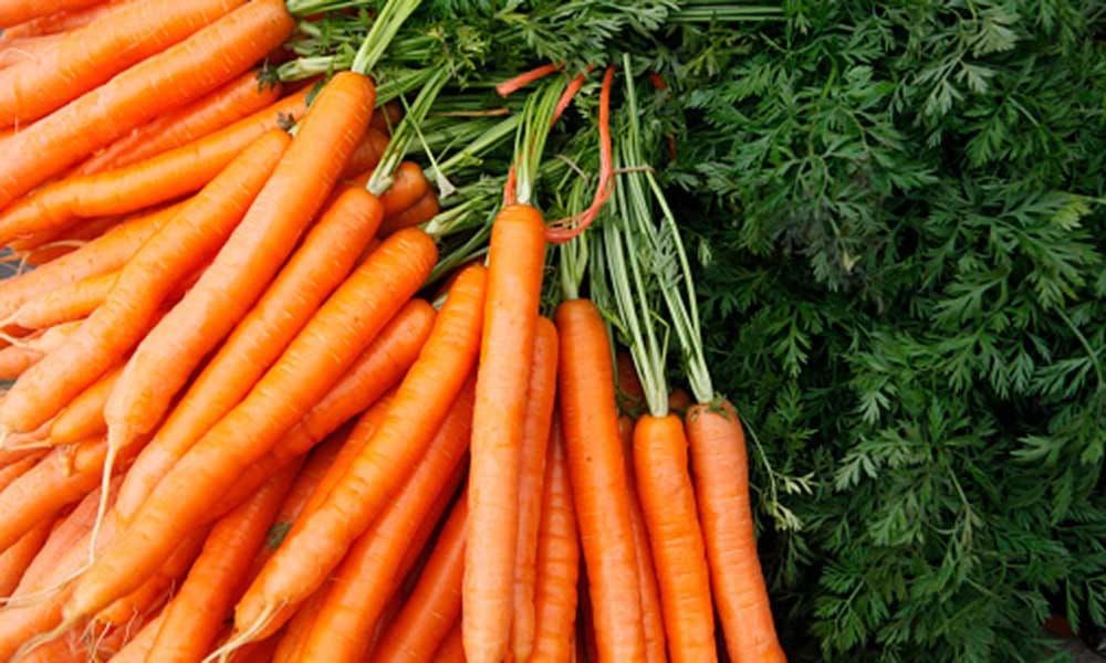 ten foods that will never harm