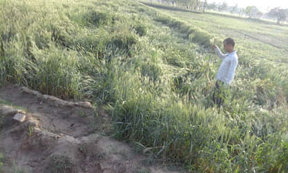 After Holi, the weather is bad again, drizzle occurred