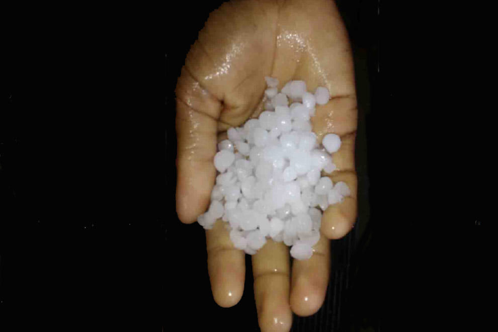 Rain destroy crops in North India