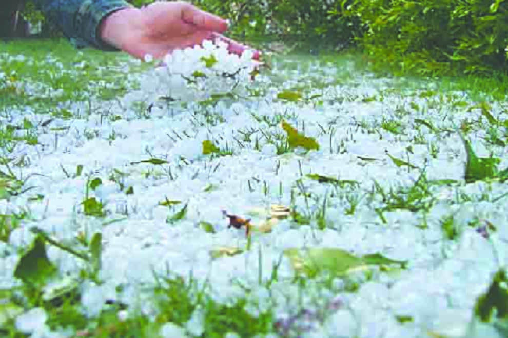 Rain destroy crops in North India