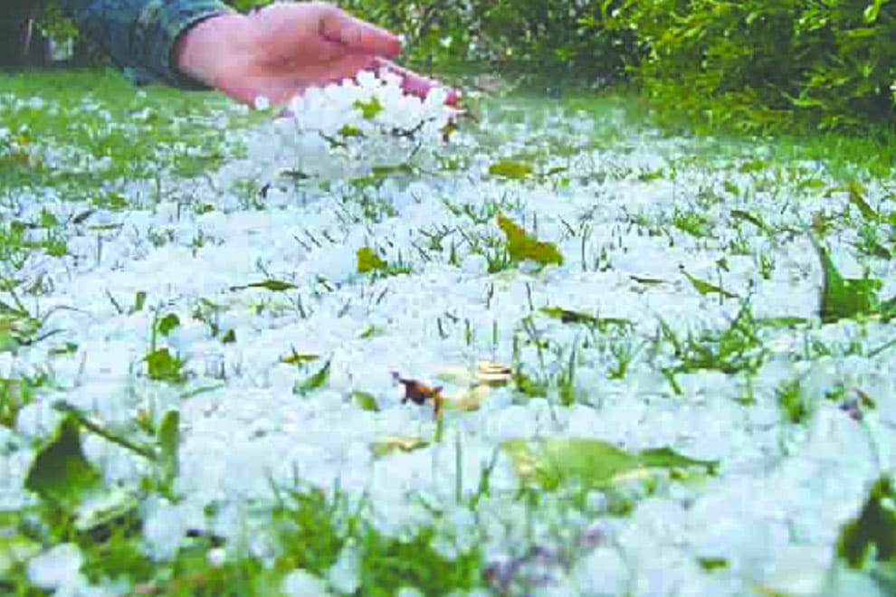 Rain destroy crops in North India