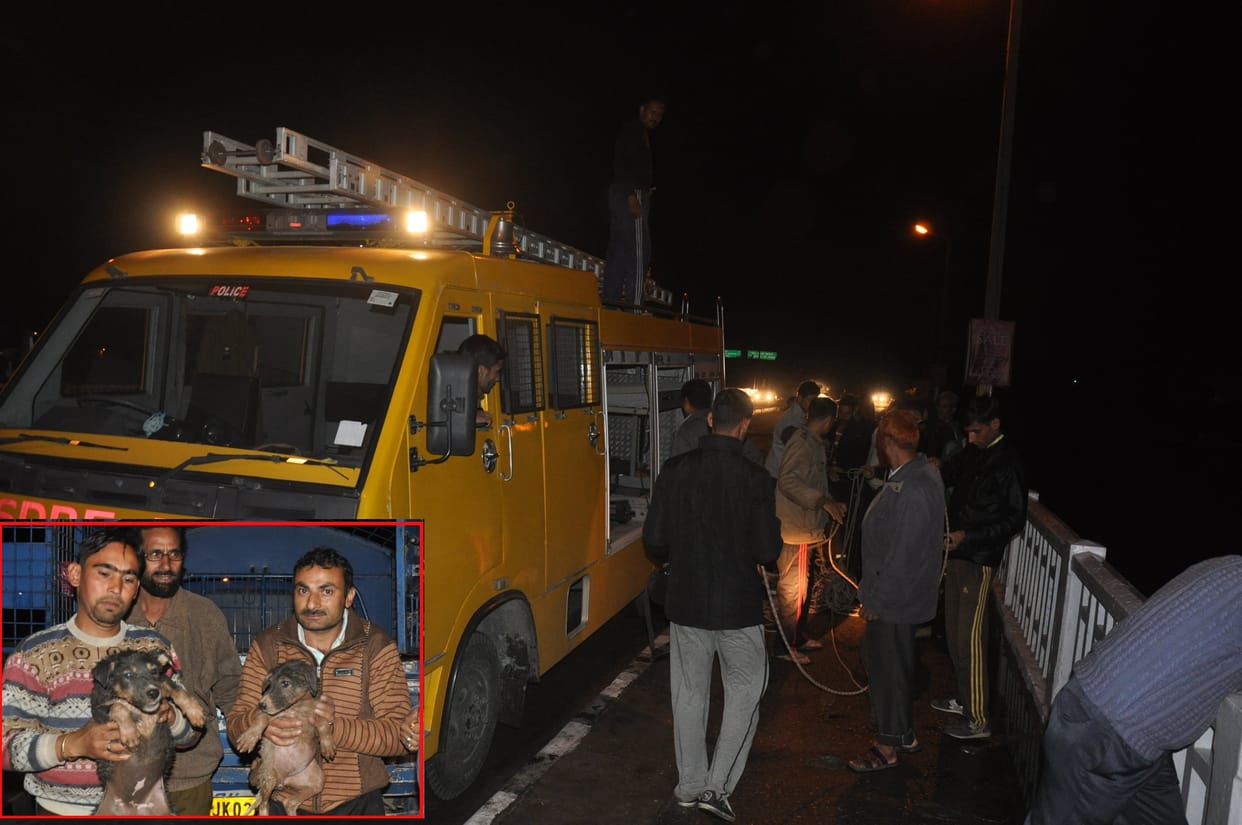 Indian Air Force landed in the river rescued dogs